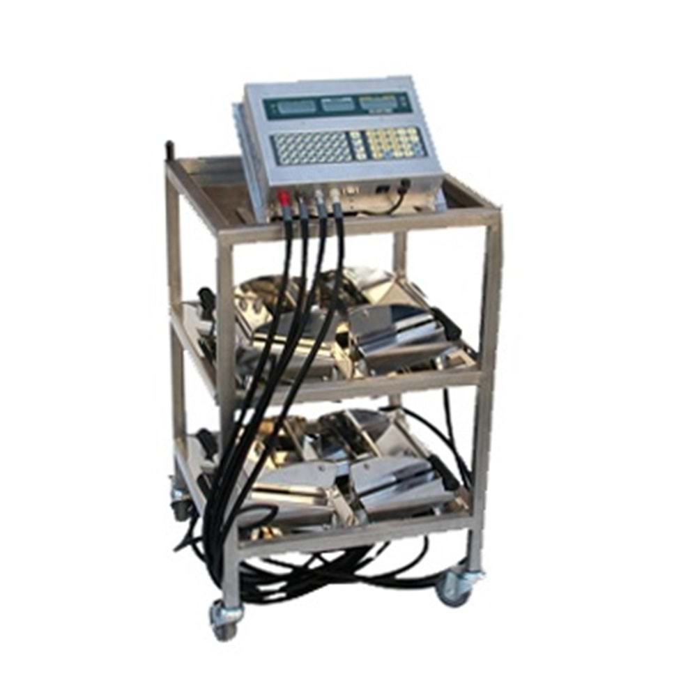 Karyola Tartısı Baster 500kg